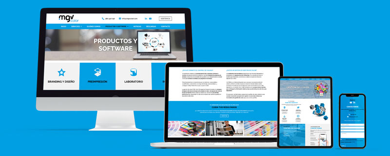 Página Web MGVColor